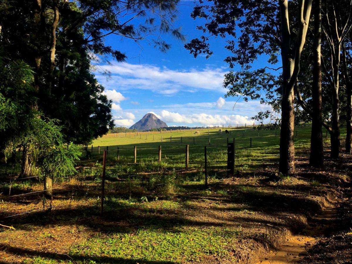 Blackwattle Farm Beerwah Habitación foto