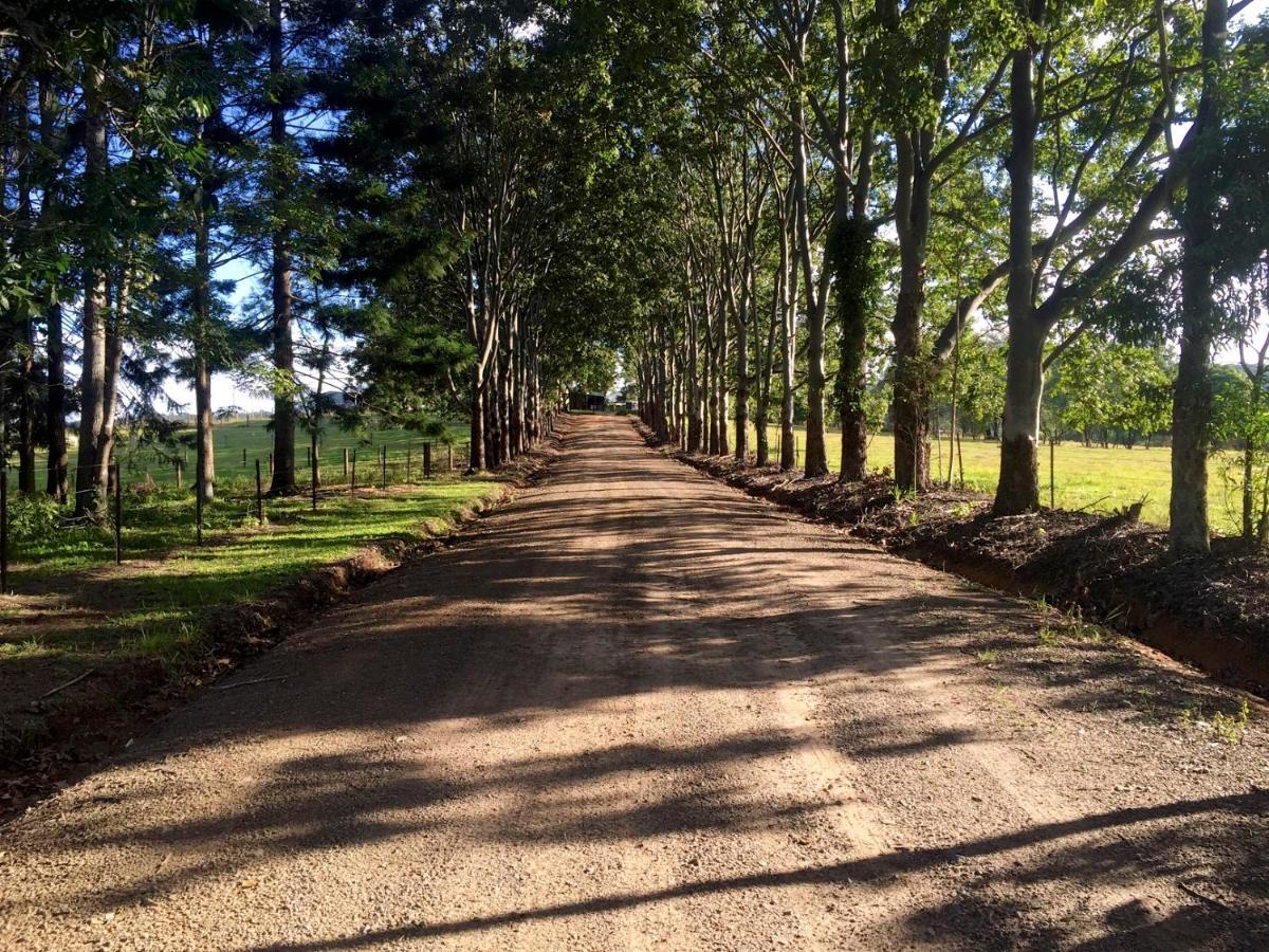 Blackwattle Farm Beerwah Habitación foto