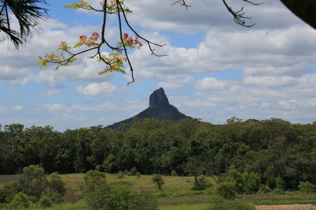 Blackwattle Farm Beerwah Habitación foto