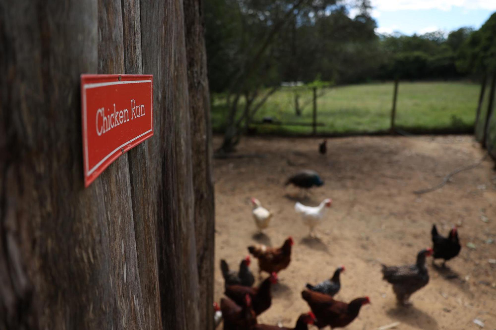 Blackwattle Farm Beerwah Exterior foto