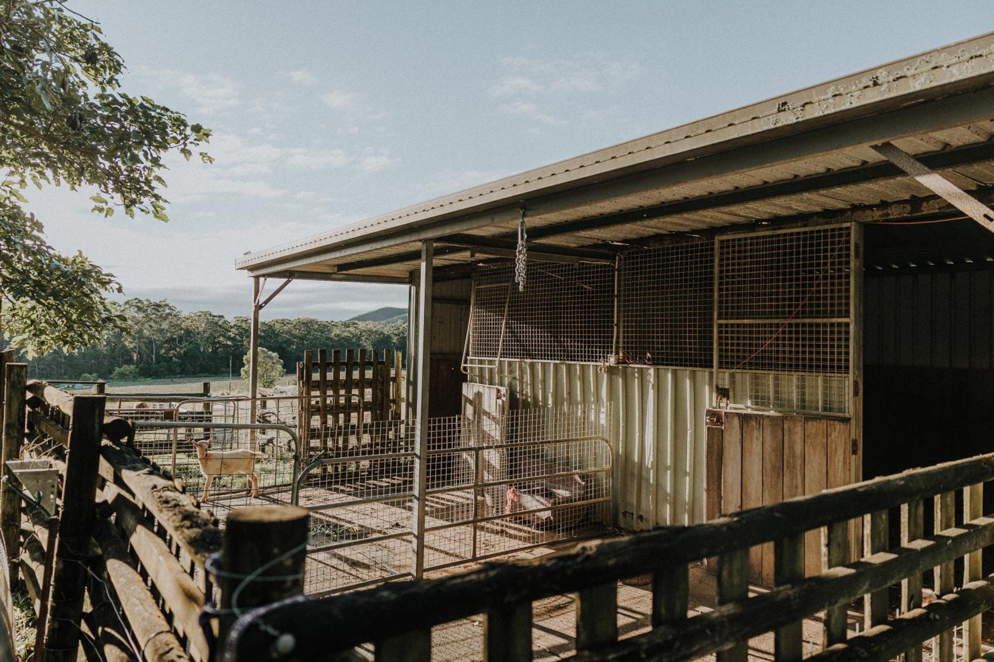 Blackwattle Farm Beerwah Exterior foto