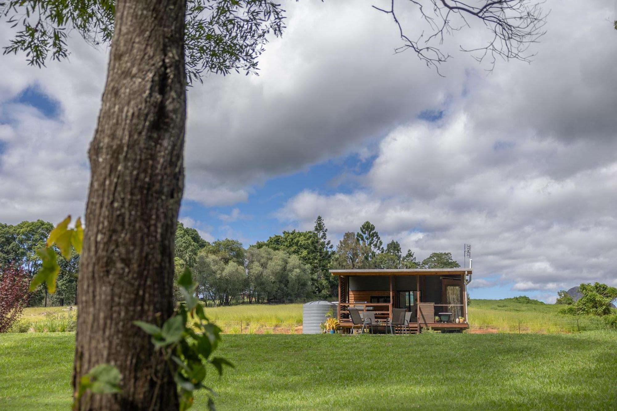 Blackwattle Farm Beerwah Habitación foto
