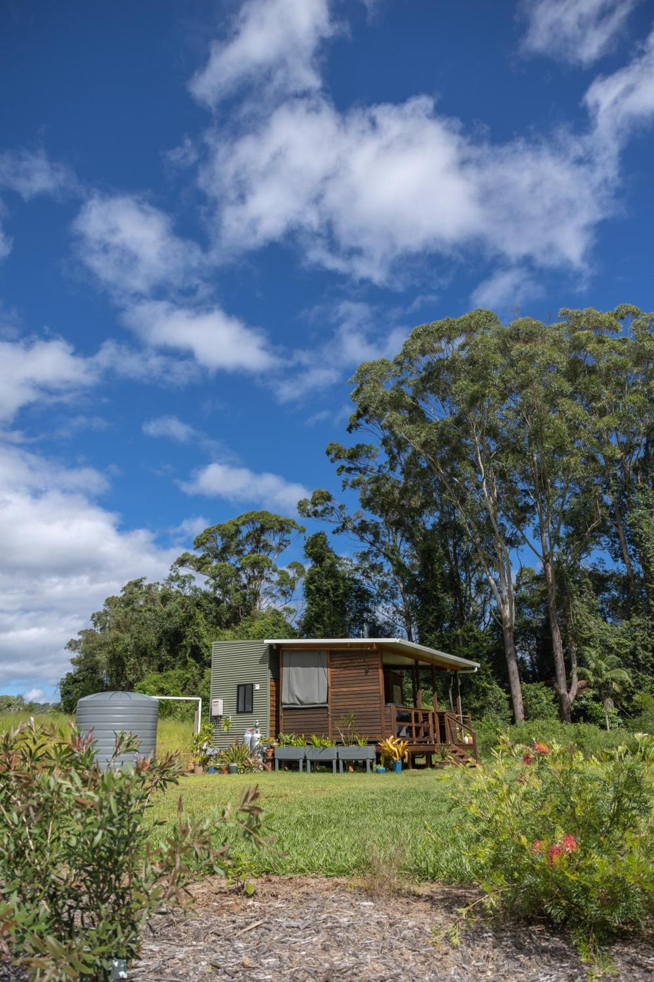 Blackwattle Farm Beerwah Habitación foto